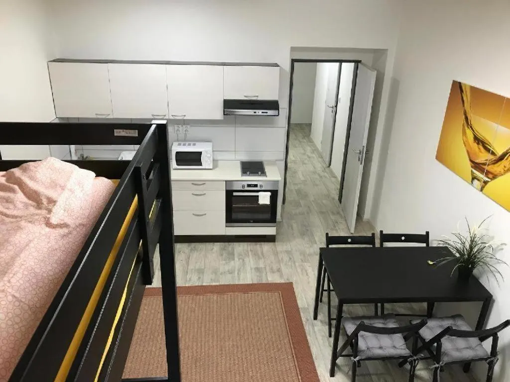 Apartmans For 2 Or 6 Peoples 12 Min By Walk From The Center Brno Apartment