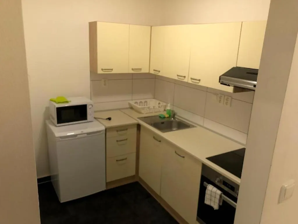 Apartment Apartmans For 2 Or 6 Peoples 12 Min By Walk From The Center Brno